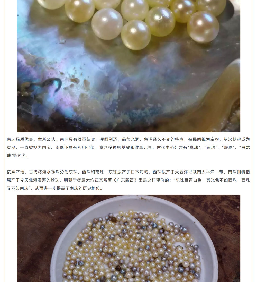 古老南珠，綻放異彩